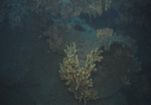 cave diving